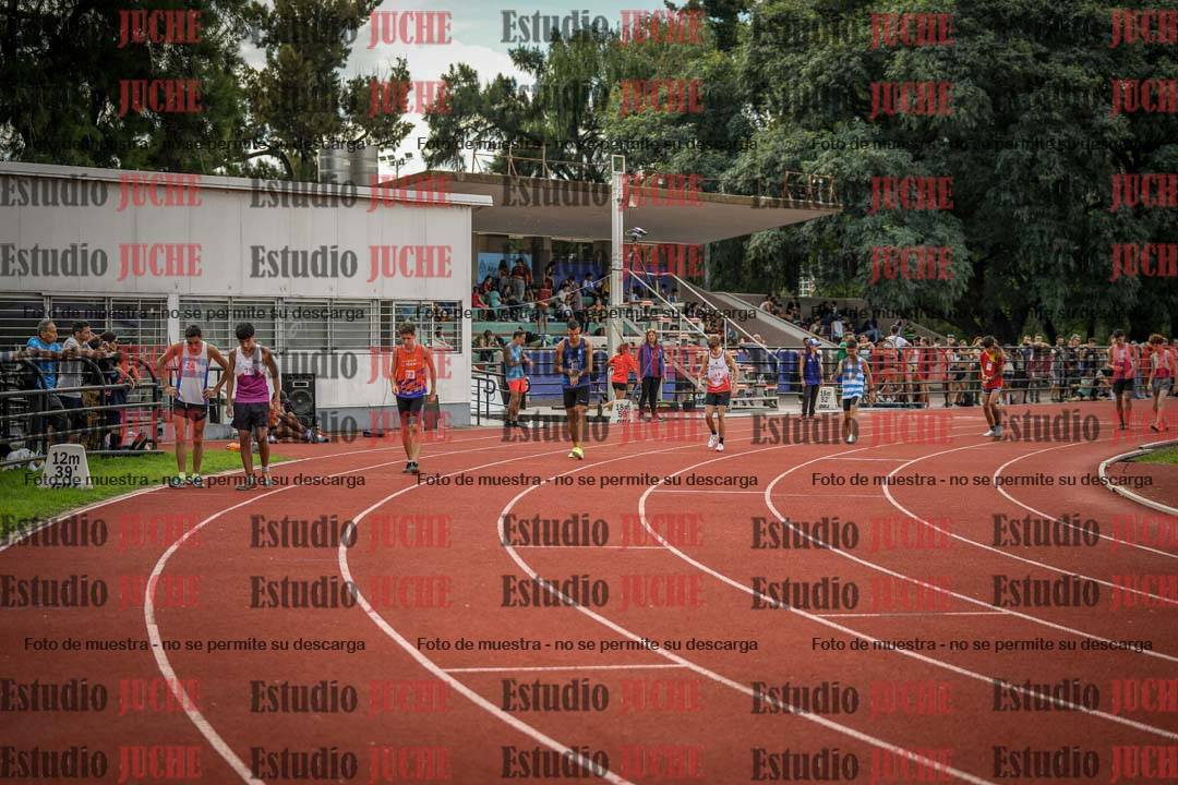 Fotos de los 800 m llanos de varones