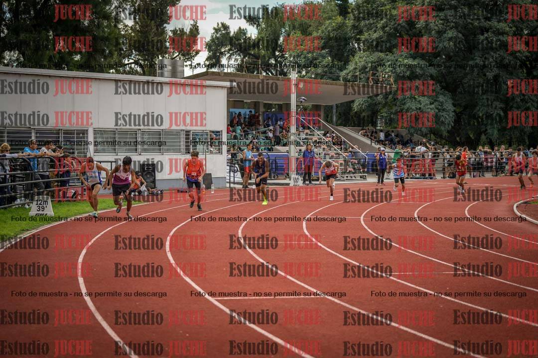 Fotos de los 800 m llanos de varones