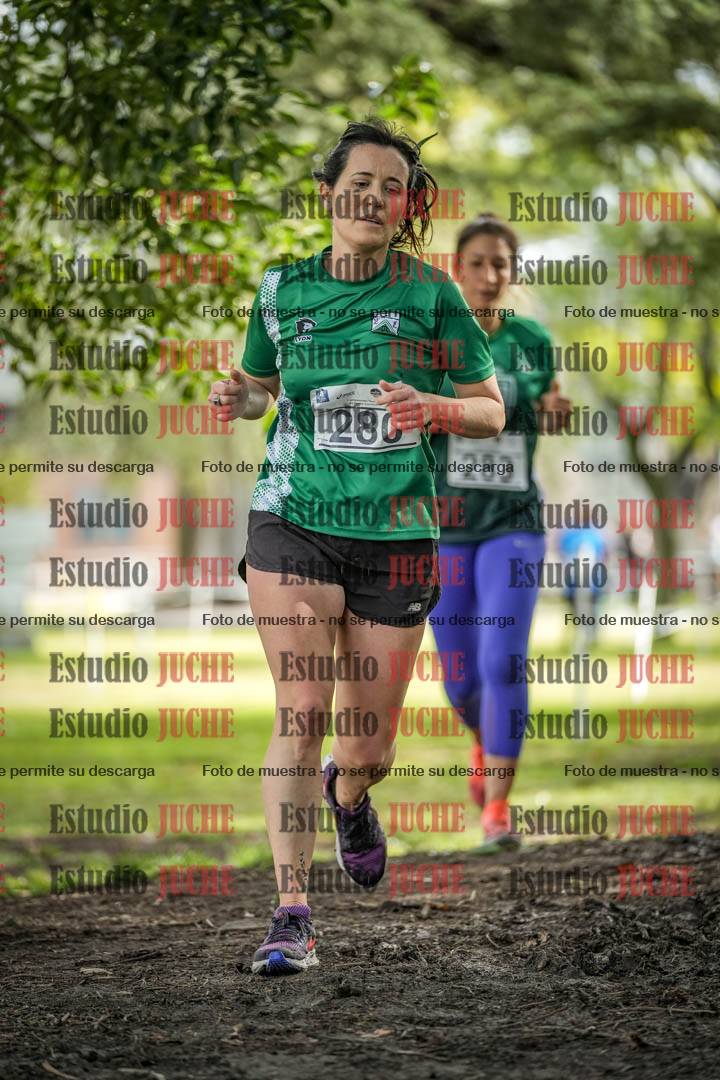 Fotos en el circuito
