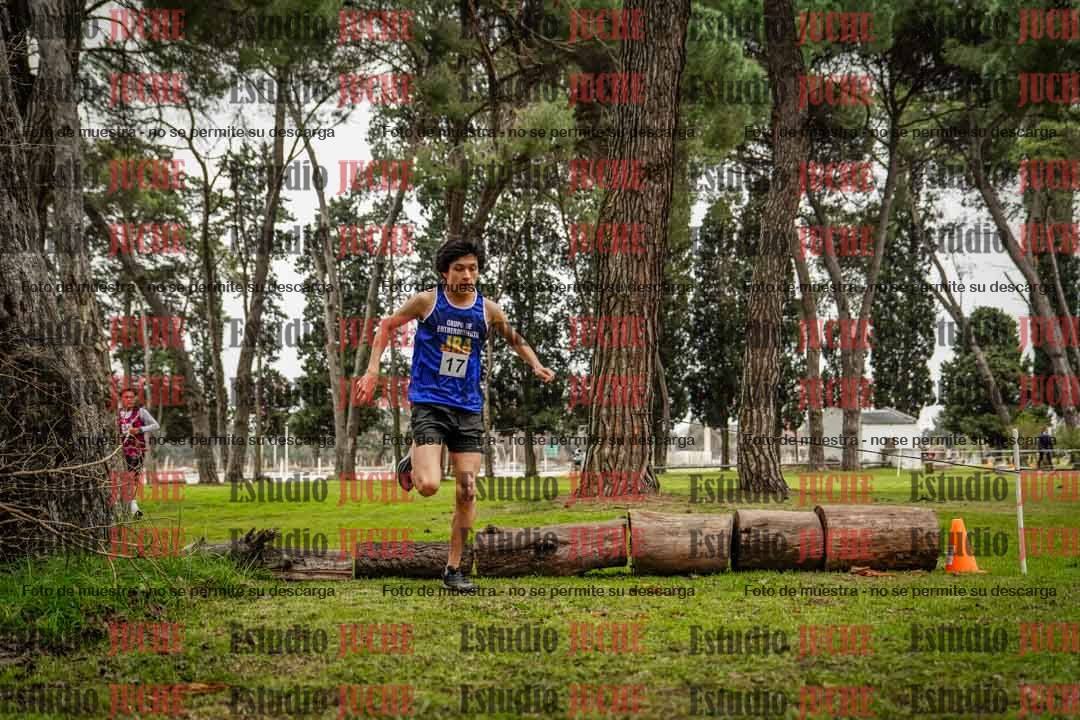 Fotos en el circuito