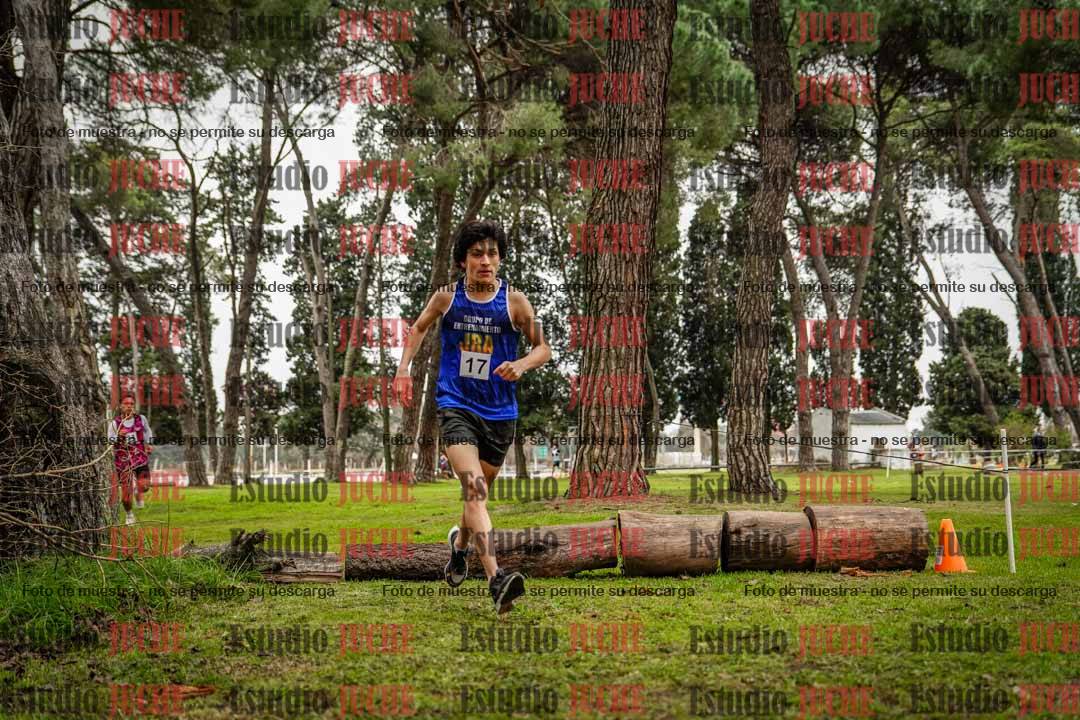 Fotos en el circuito
