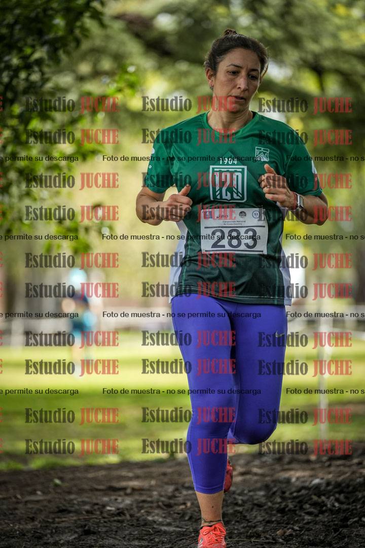 Fotos en el circuito