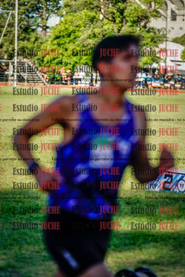 Fotos de los 3000 m llanos de varones