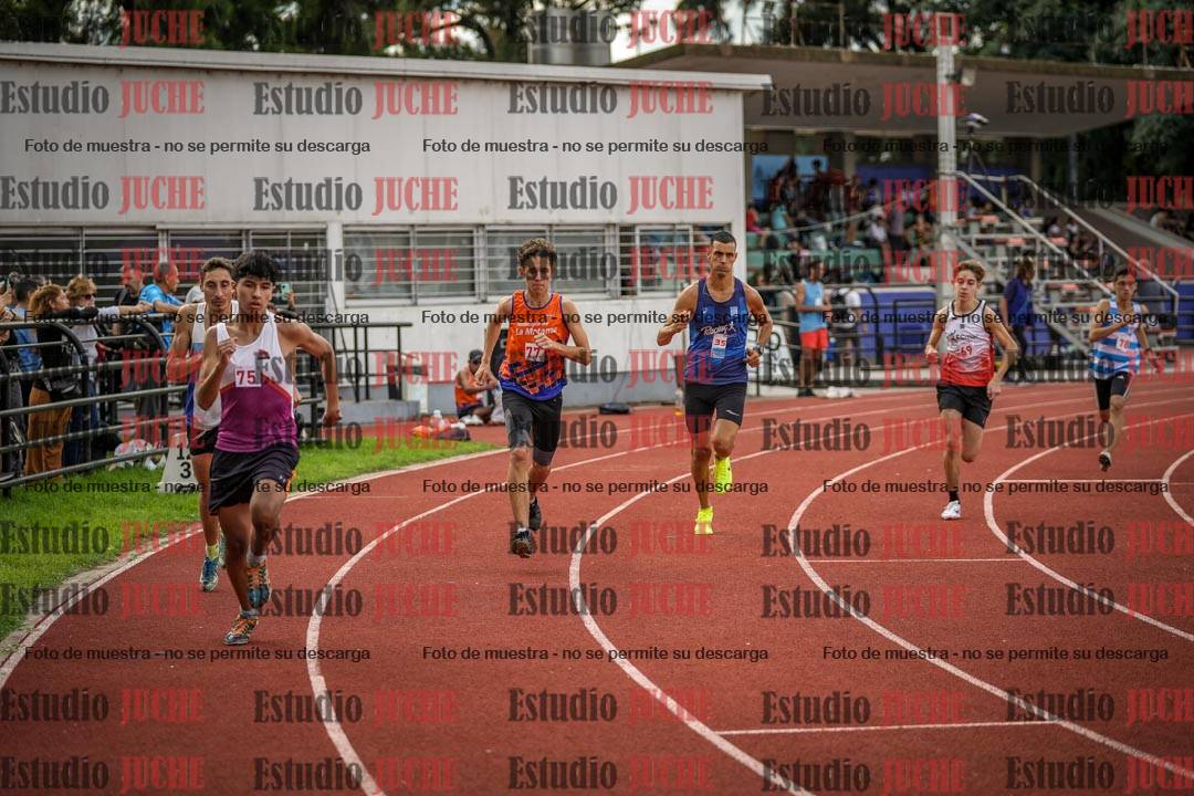 Fotos de los 800 m llanos de varones