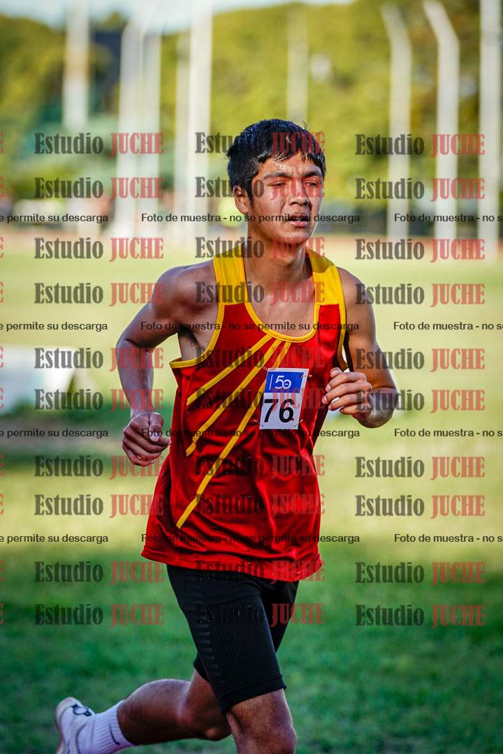 Fotos de los 3000 m llanos de varones