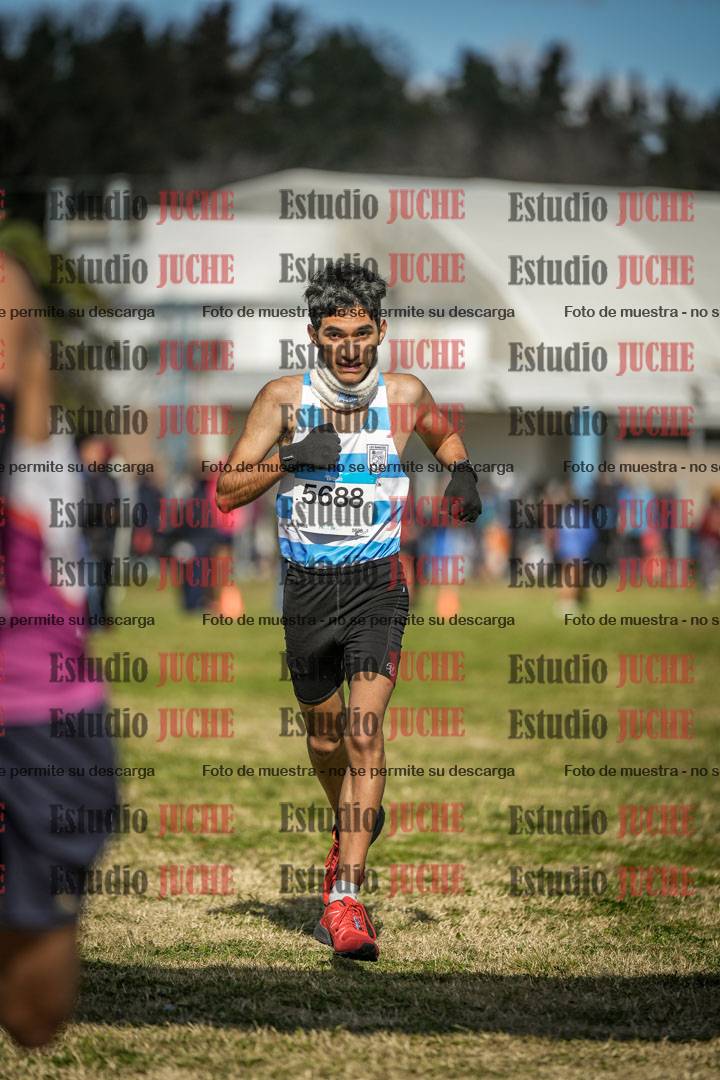 Fotos de las llegadas