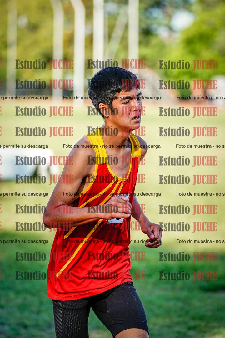 Fotos de los 3000 m llanos de varones