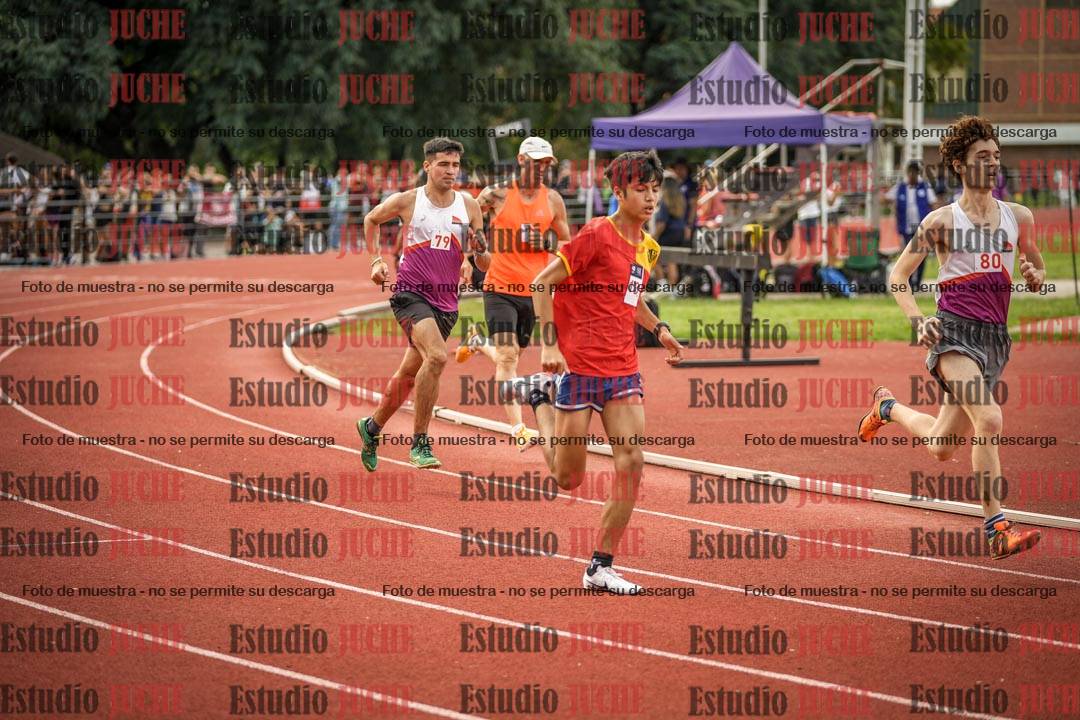 Fotos de los 800 m llanos de varones