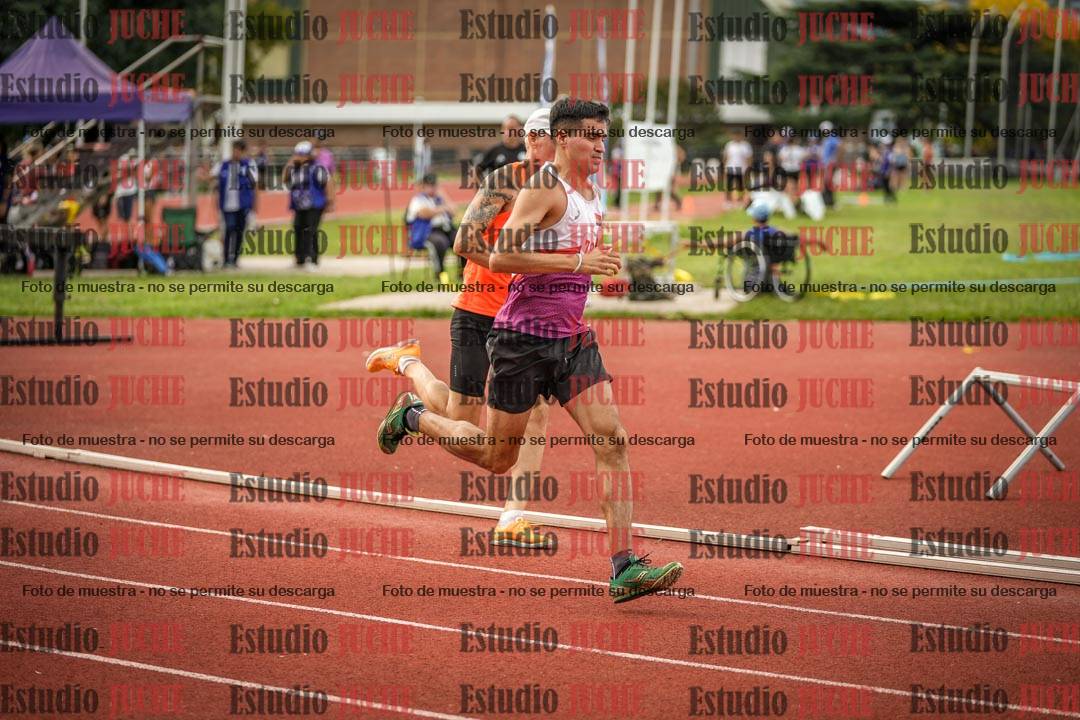 Fotos de los 800 m llanos de varones