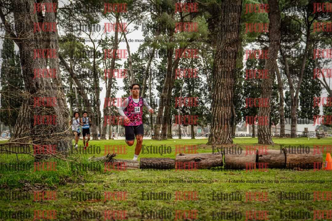 Fotos en el circuito