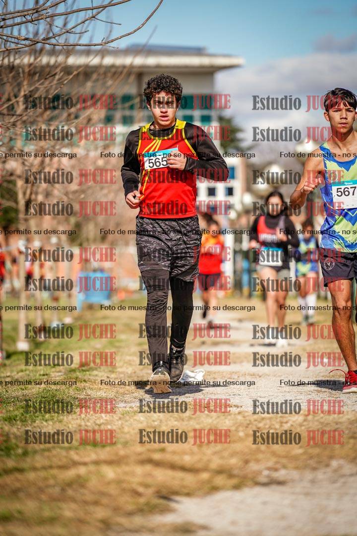 Fotos en el circuito