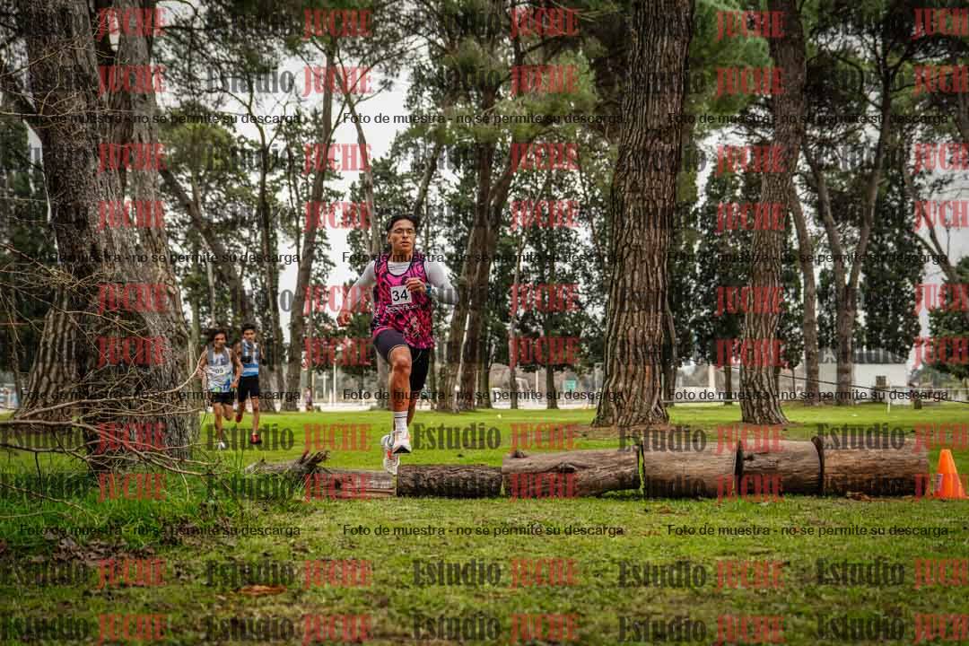 Fotos en el circuito