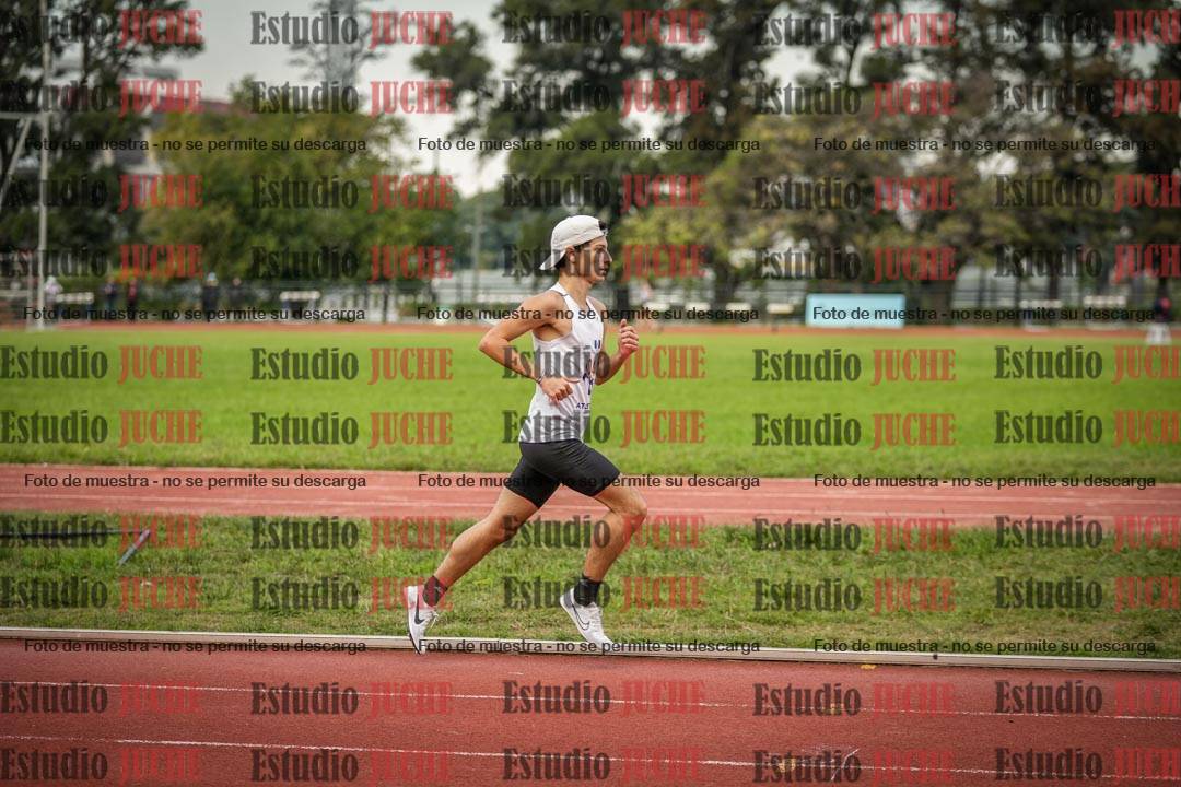 Fotos de los 5000 m llanos