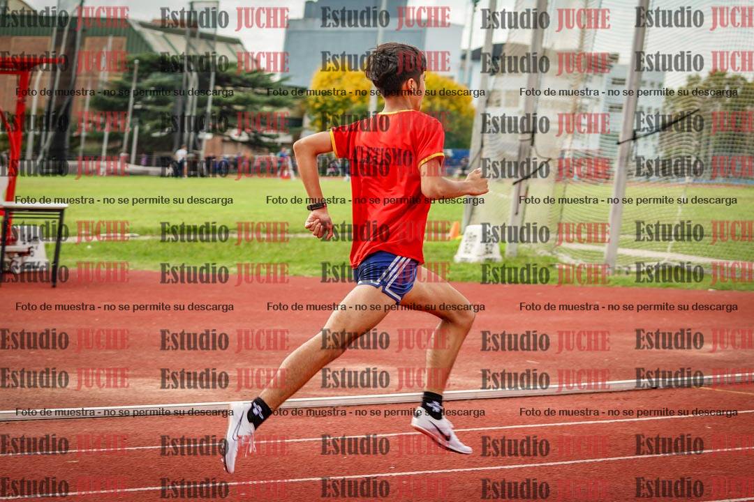 Fotos de los 800 m llanos de varones