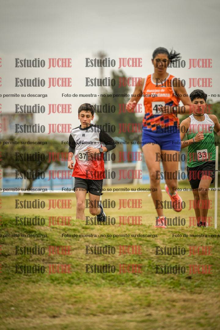 Fotos en el circuito