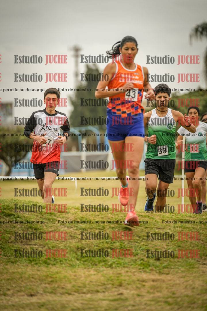 Fotos en el circuito