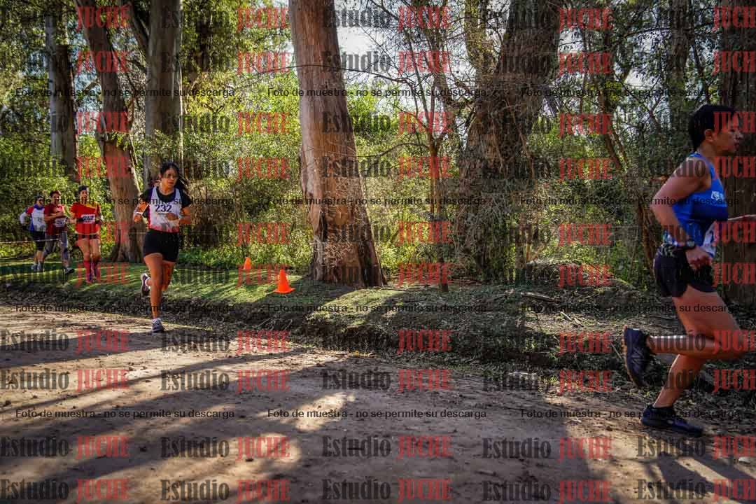 Fotos en el primer punto del circuito