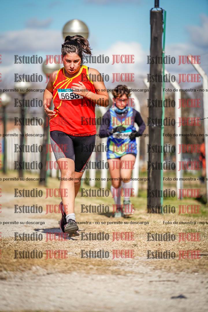 Fotos en el circuito