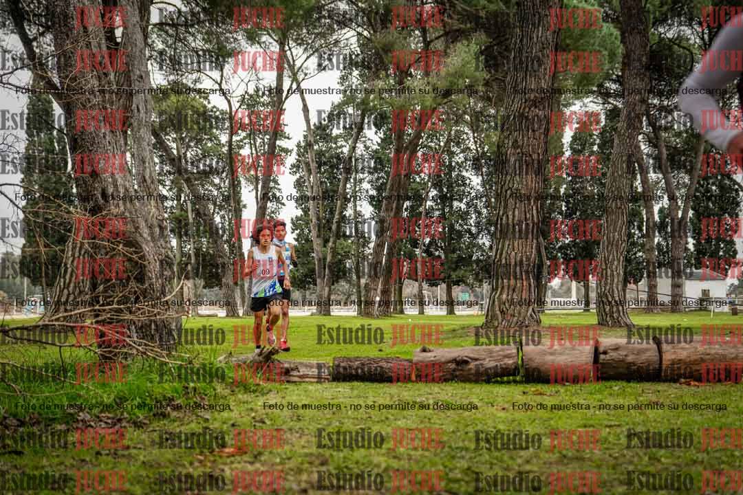 Fotos en el circuito