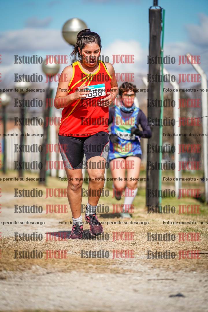 Fotos en el circuito