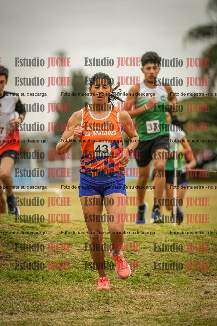Fotos en el circuito