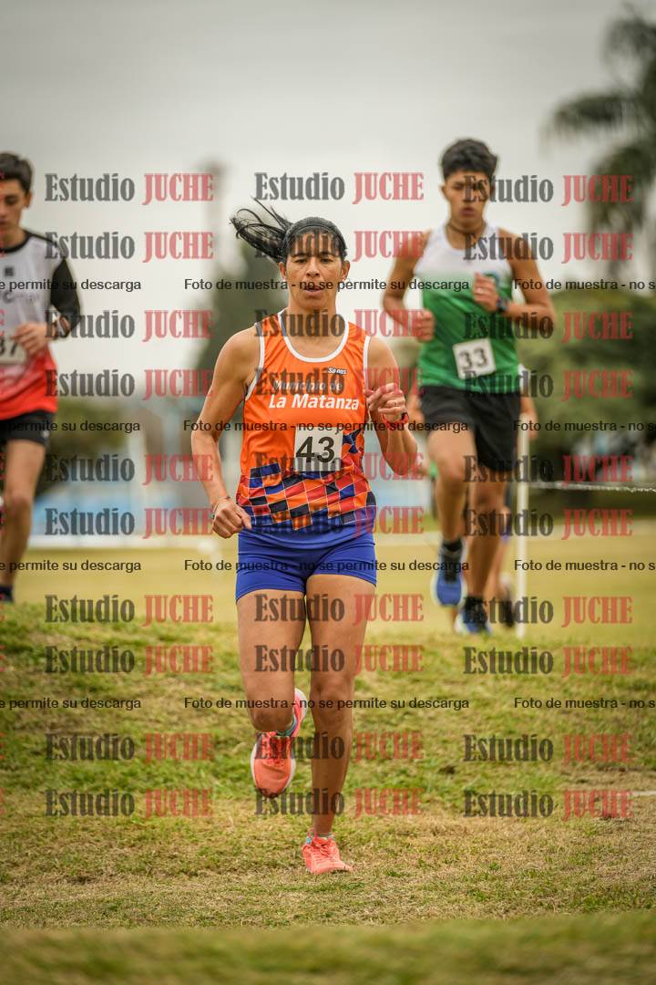 Fotos en el circuito