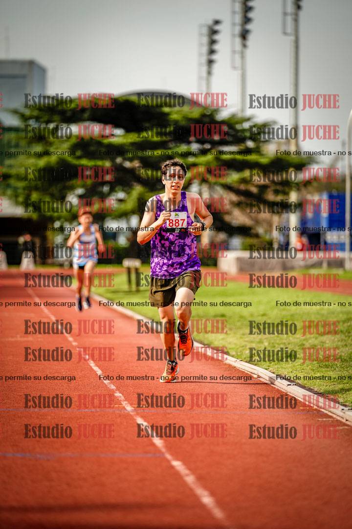 Fotos de los 3000 m llanos de varones