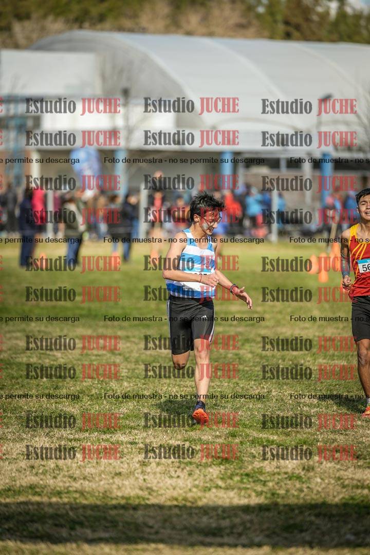Fotos de las llegadas