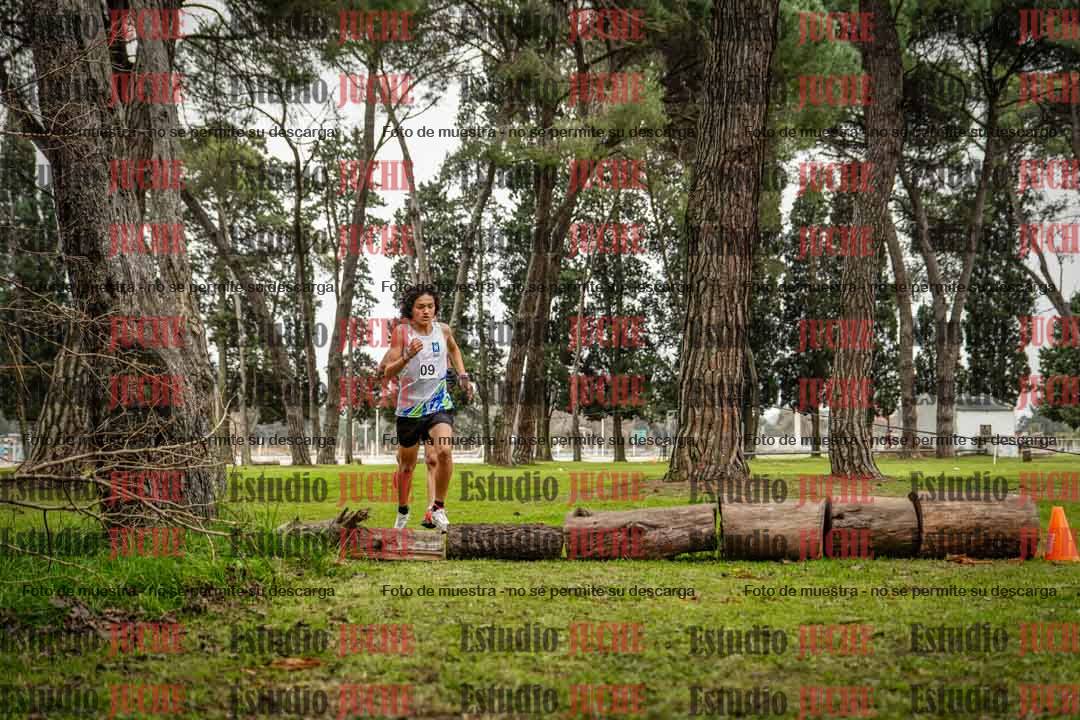 Fotos en el circuito
