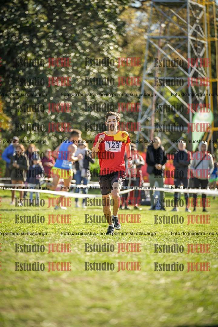 Fotos de la llegada del cross de 8000 m