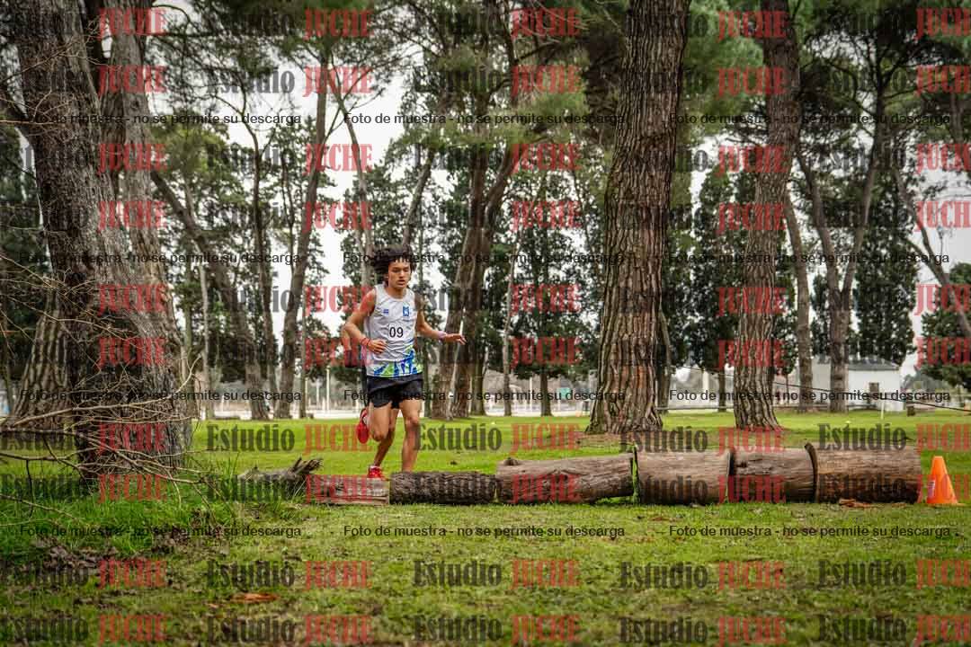 Fotos en el circuito