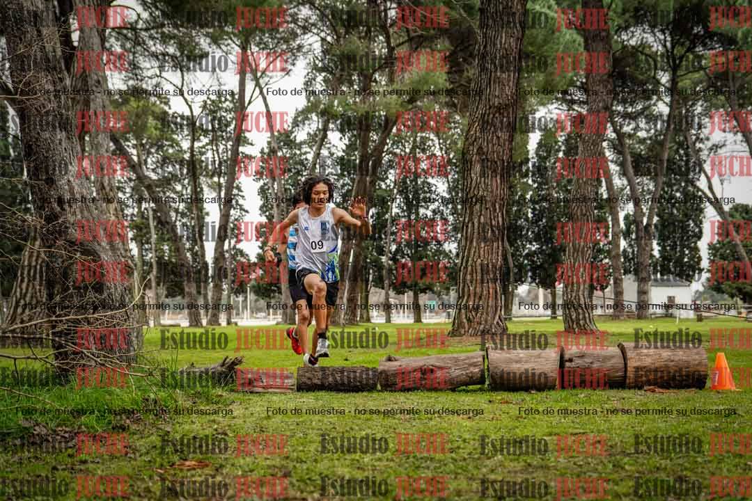 Fotos en el circuito