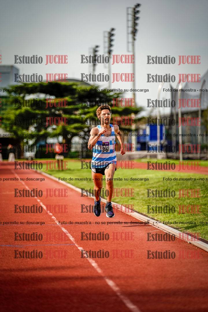 Fotos de los 3000 m llanos de varones