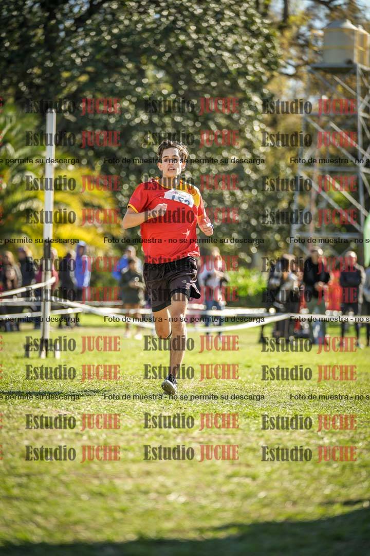 Fotos de la llegada del cross de 8000 m