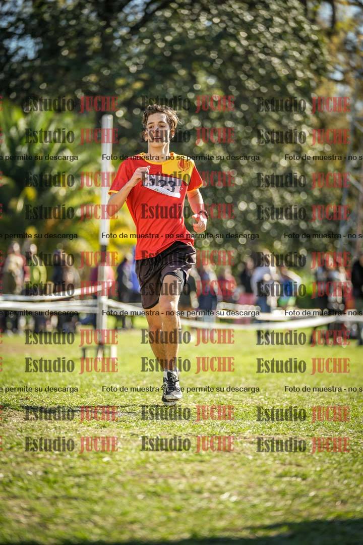 Fotos de la llegada del cross de 8000 m