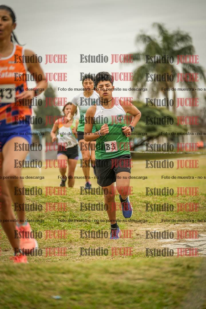 Fotos en el circuito