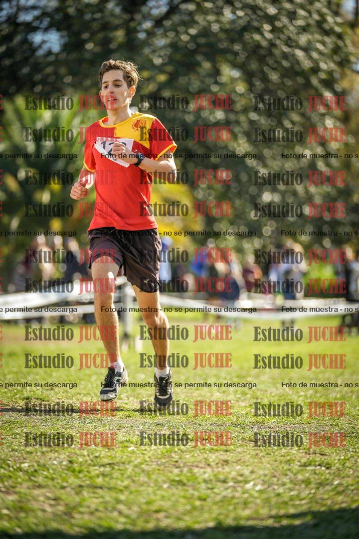 Fotos de la llegada del cross de 8000 m