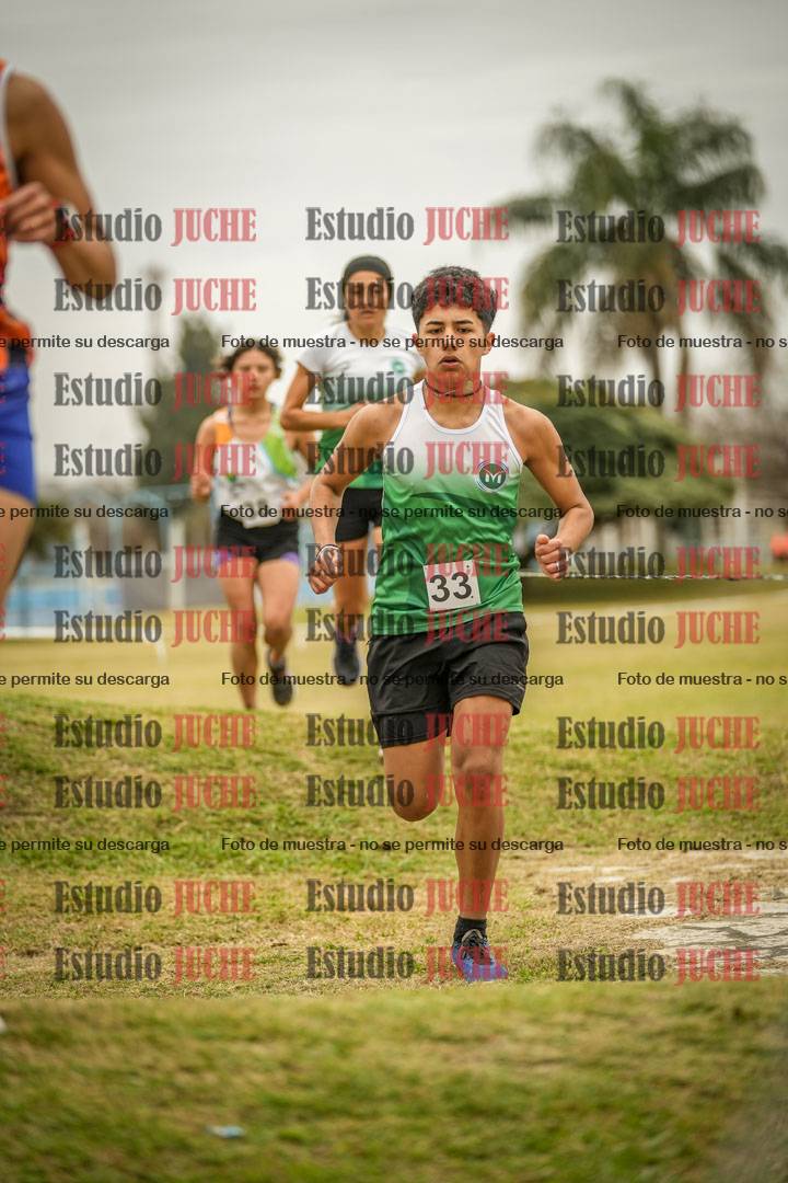 Fotos en el circuito