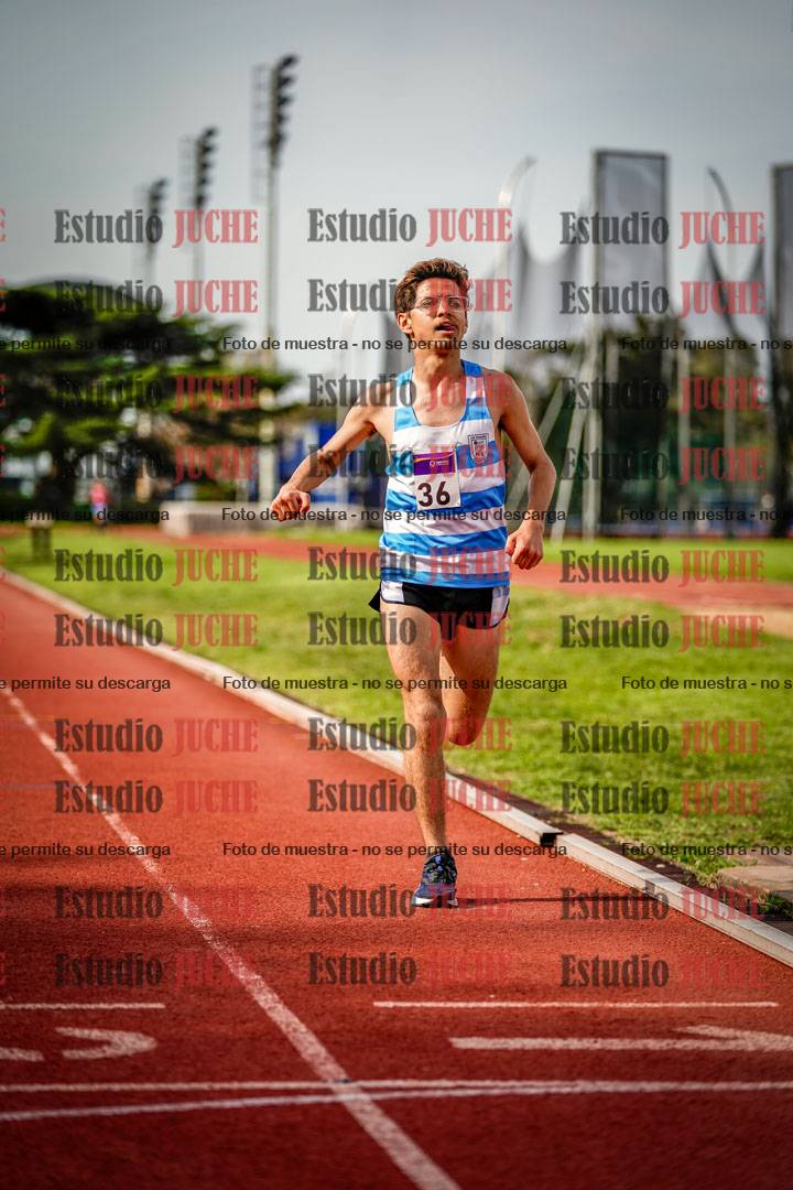 Fotos de los 3000 m llanos de varones