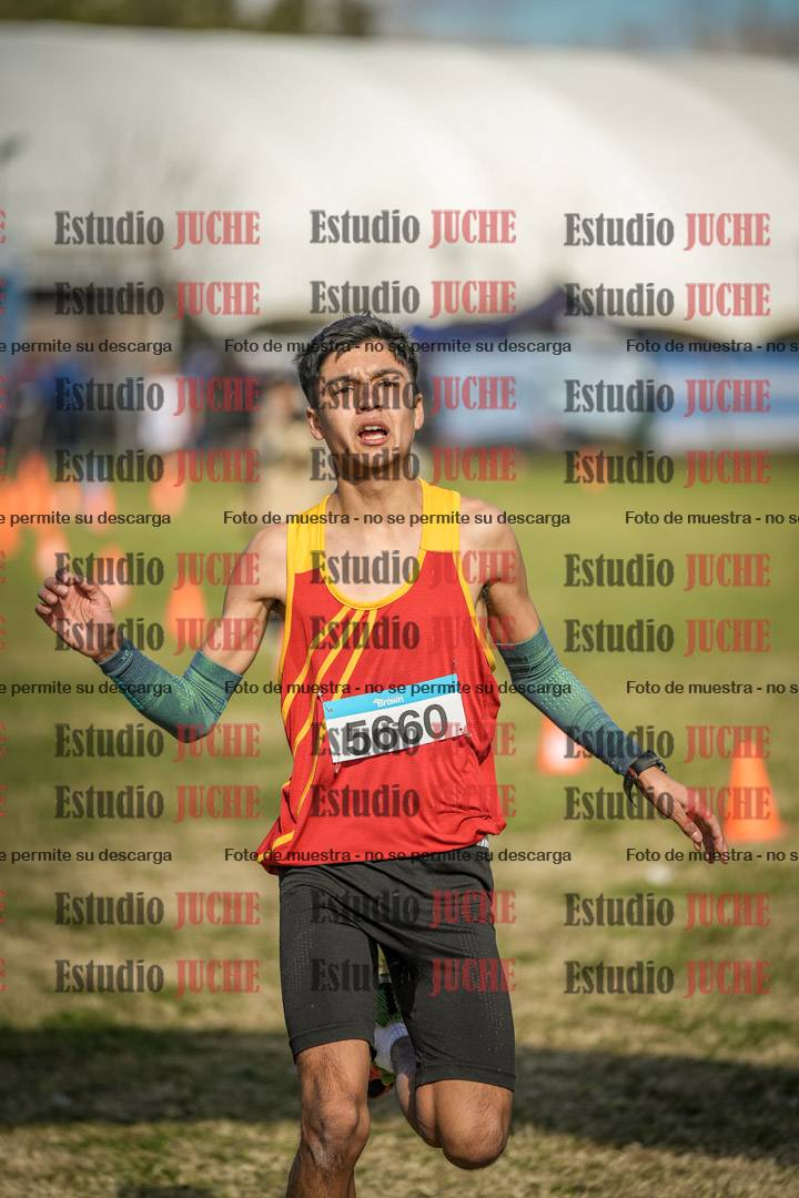 Fotos de las llegadas