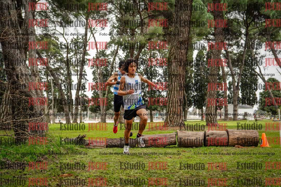 Fotos en el circuito