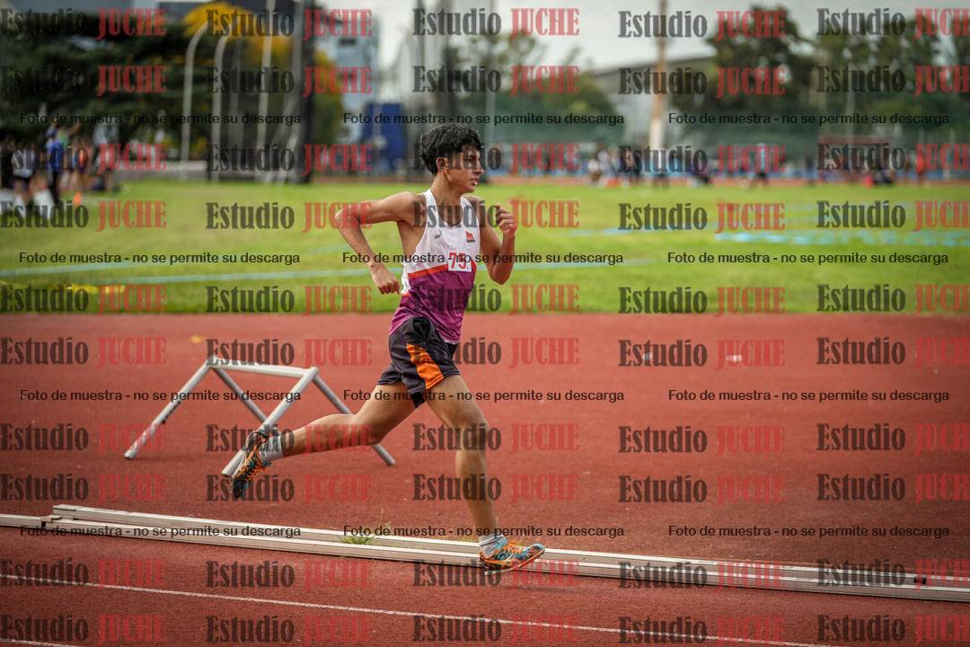 Fotos de los 800 m llanos de varones