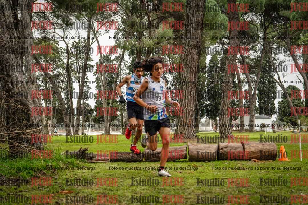 Fotos en el circuito