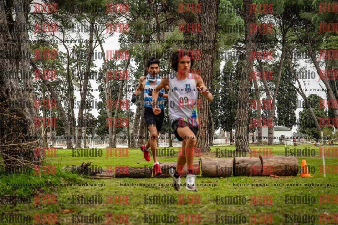 Fotos en el circuito