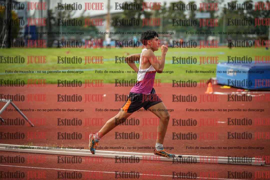 Fotos de los 800 m llanos de varones