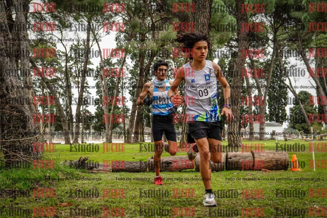 Fotos en el circuito