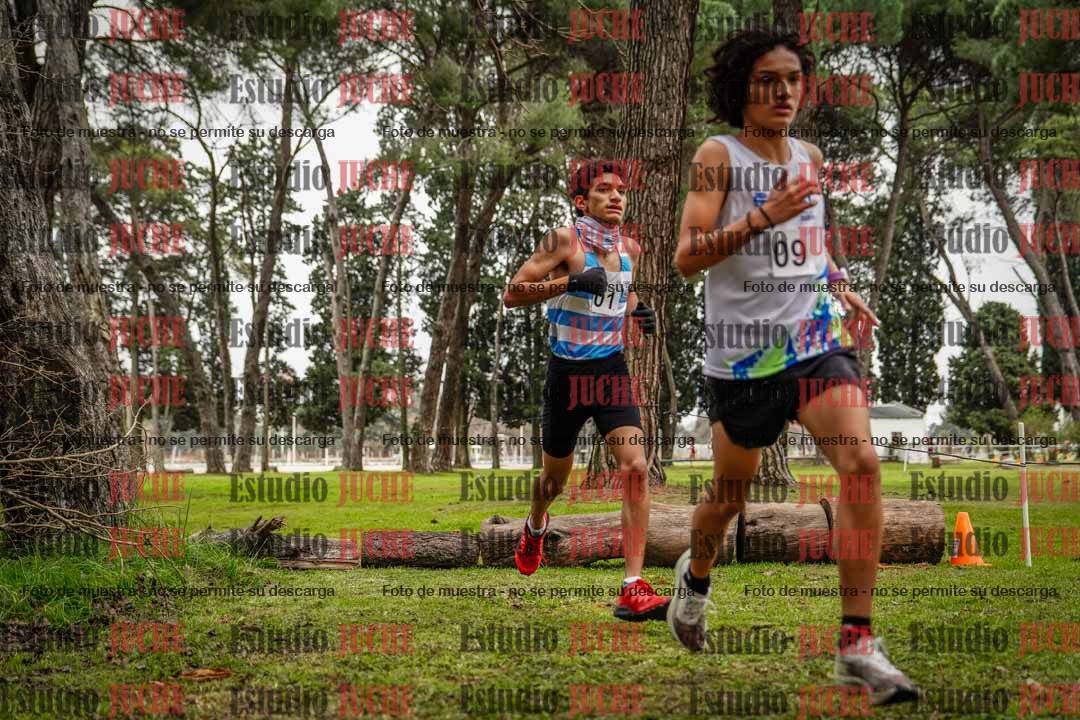 Fotos en el circuito