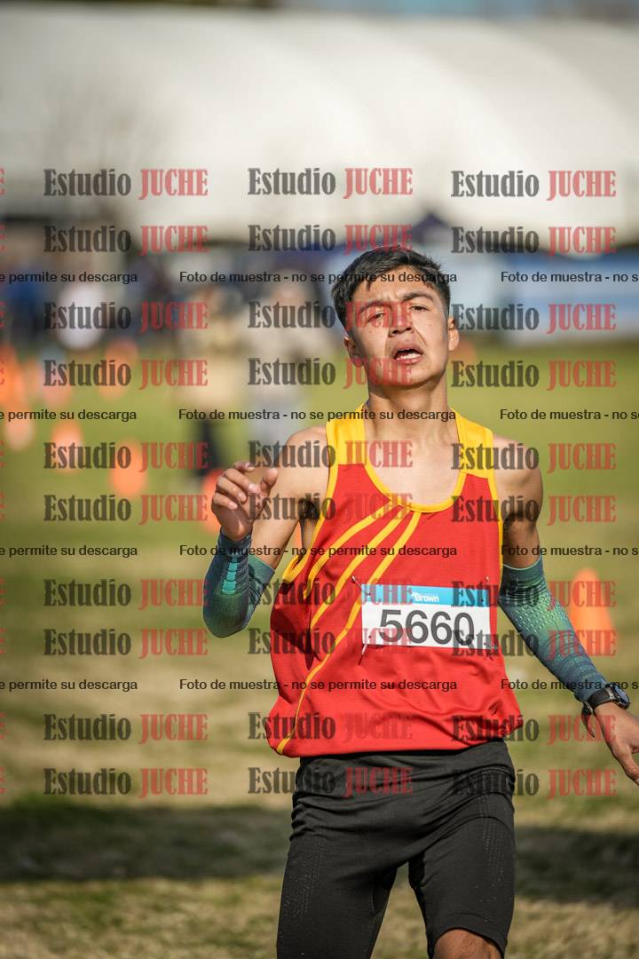 Fotos de las llegadas