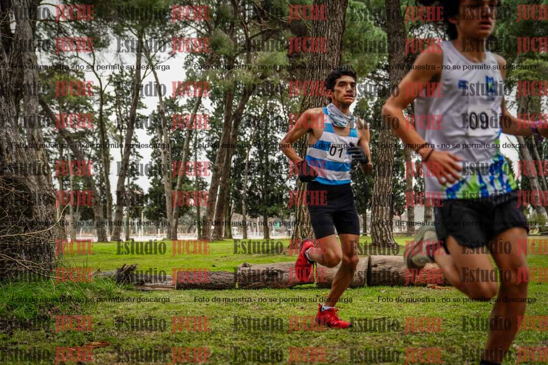Fotos en el circuito