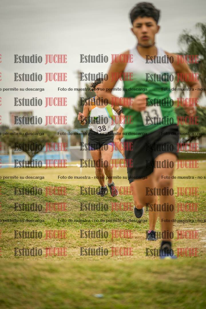 Fotos en el circuito